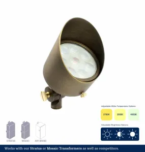 Adjustable White 3-Inch Brass LED Up Light