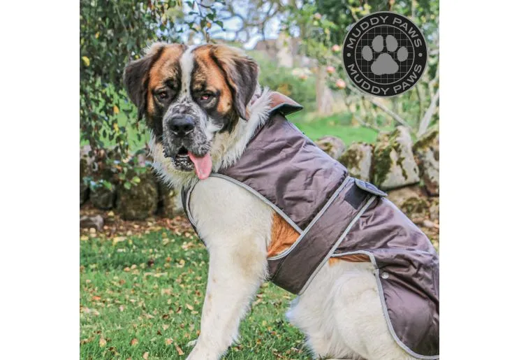 Ancol - Stormguard Dog Coat - Chocolate Brown - S/M