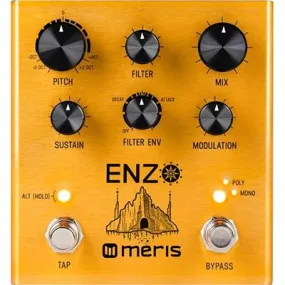 MERIS Enzo