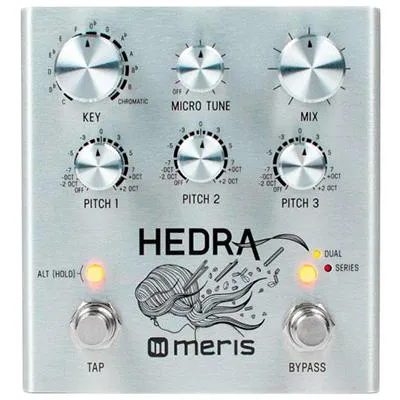 MERIS HEDRA